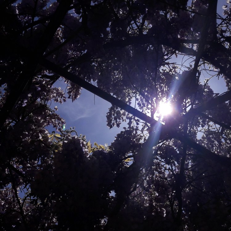 IMG_20170417_224453_218