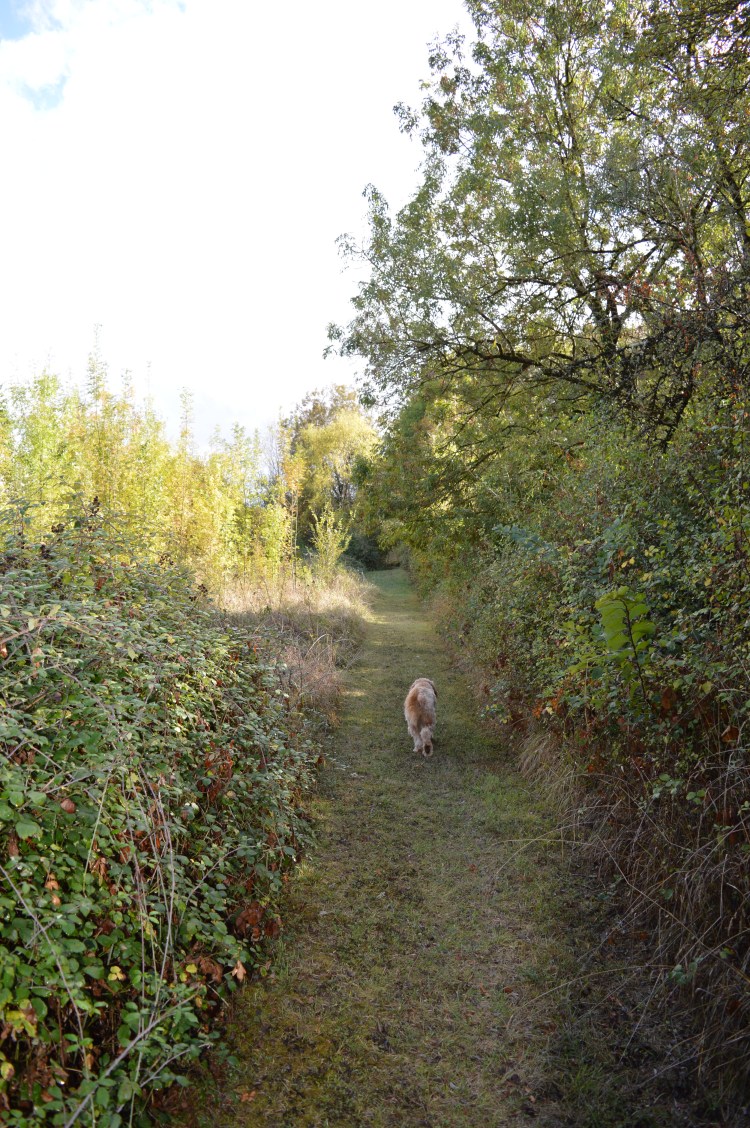 No need to leave your land to walk the dog